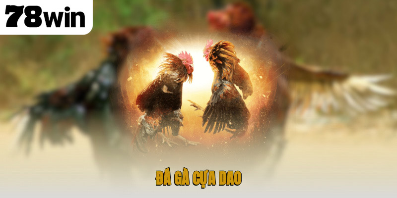 Đá Gà Cựa Dao – Thể Thao Đỉnh Cao Đầy Kịch Tính 1 Đá gà cựa dao