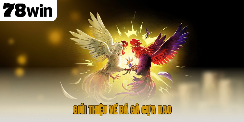 Đá Gà Cựa Dao – Thể Thao Đỉnh Cao Đầy Kịch Tính 2 Giới thiệu về đá gà cựa dao